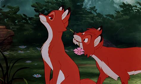 Vixey - The Fox and the Hound Photo (41039394) - Fanpop