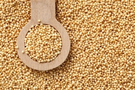 10 Health Benefits of Amaranth Grain and Leaves