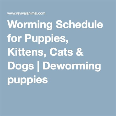 Worming Schedule for Puppies, Kittens, Cats & Dogs | Puppy training ...