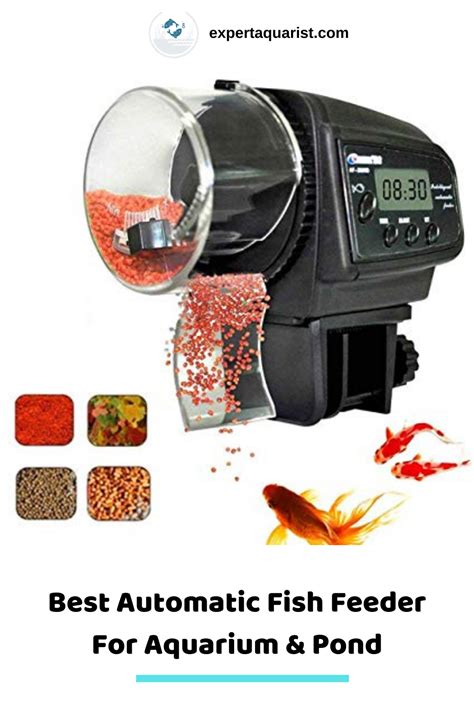 Best Automatic Fish Feeder For Aquarium & Pond (Reviews) | Automatic fish feeder, Fish feeder ...