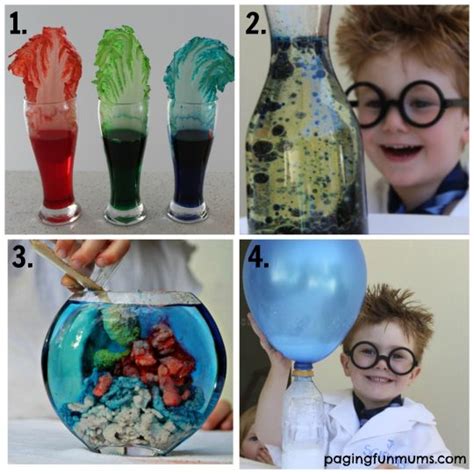 20+ Home Science Projects for Kids