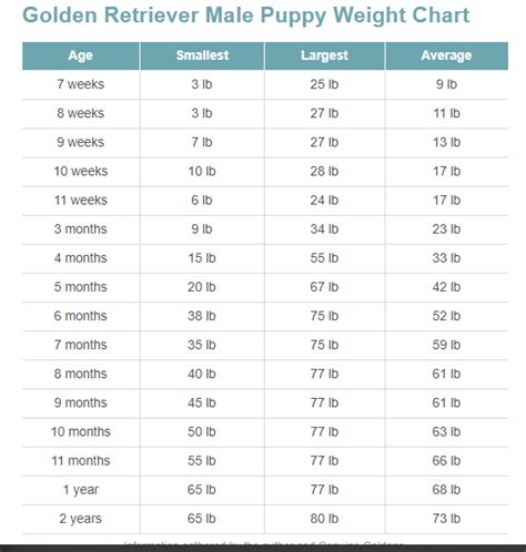 Kennel Minbu - Golden Retriever Weight Chart