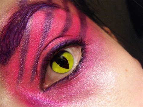 Cheshire Cat MakeUp by musicfan4 on DeviantArt