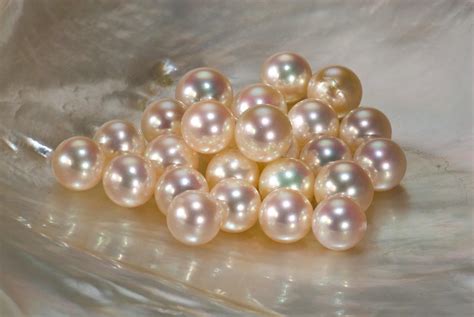 Pearl Gemstone | Pearl Stone | Pearl Gem – GIA