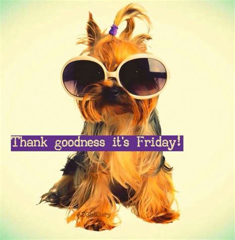 Thank goodness it's Friday Friday Inspirational Quotes, Its Friday Quotes, Friday Funny Pictures ...