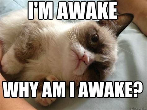 i'm awake why am i awake grumpy cat meme - Google Search | Grumpy cat ...