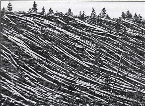 Tunguska Explosion -- Early in the morning during June of 1908 ...