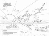 Ga Aquarium Coloring Pages sketch template
