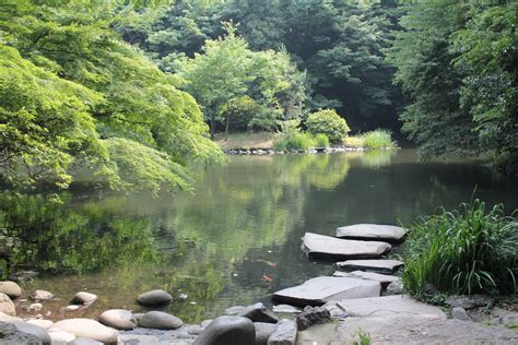 File:University of Tokyo - Sanshiro Pond.JPG - Wikipedia