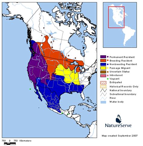 Tennessee Watchable Wildlife | Brewer's Blackbird - Habitat: 1