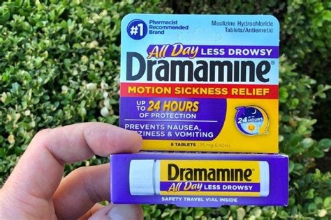 Dramamine For Dogs: Vet-Approved Uses & Potential Side Effects | Pet Keen