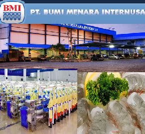 Lowongan Kerja PT Bumi Menara Internusa (BMI) Oktober 2016 - Informasi lowongan kerja terkini