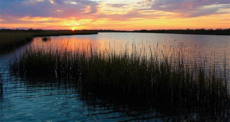 Galveston Island State Park - Go Wandering