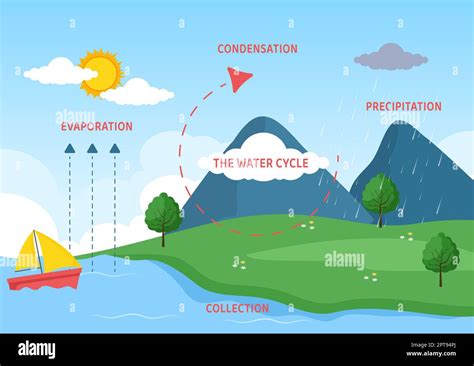 Water Cycle of Evaporation, Condensation, Precipitation to Collection in Earth natural ...