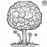 Whimsical Truffula Tree Coloring Page Set Inspired By Dr Seuss sketch template