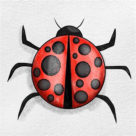 Ladybug Drawing - HelloArtsy