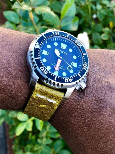 Citizen Eco-Drive Diver on a leather strap (x-post r/watches) : Watchbands Rolex Watches ...