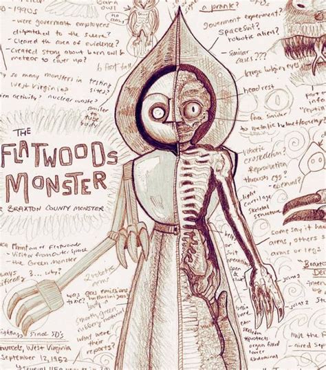 Flatwoods Monster Anatomy Study Print | Etsy in 2021 | Flatwoods monster, Mythical creatures art ...