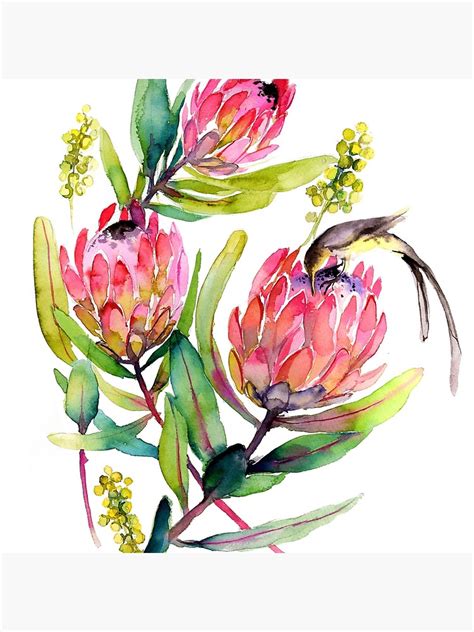 "Pink Protea and Bird Watercolor Painting Big Pink Blossoms" Throw Pillow for Sale by ...