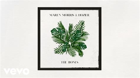 Maren Morris, Hozier - The Bones (Official Visualizer) - YouTube Music