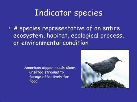 PPT - Biodiversity I: meaning and measurement PowerPoint Presentation ...