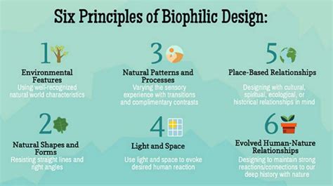 Biophilia in Office Fit Out and Design | Why No Longer a Trend?