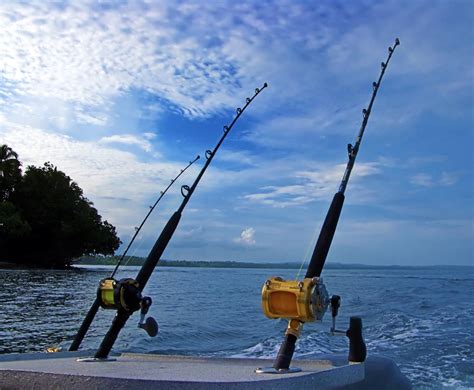 Few Tips on Finding Beach Rods to Go Saltwater Fishing - Share A Word