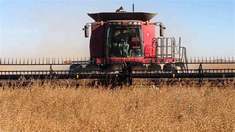 Video: Harvesting Oats - Canadian Food Focus