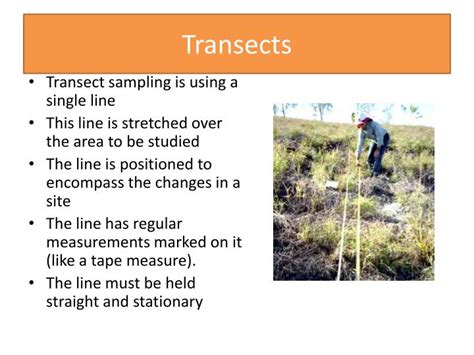 PPT - Ecology Sampling Methods PowerPoint Presentation - ID:2163465