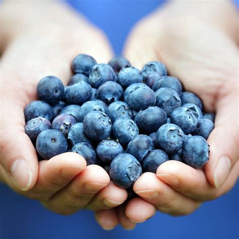 9 Benefits of Blueberries for Health and Beauty