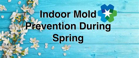 Indoor Mold Prevention During Spring - Mastertech Environmental