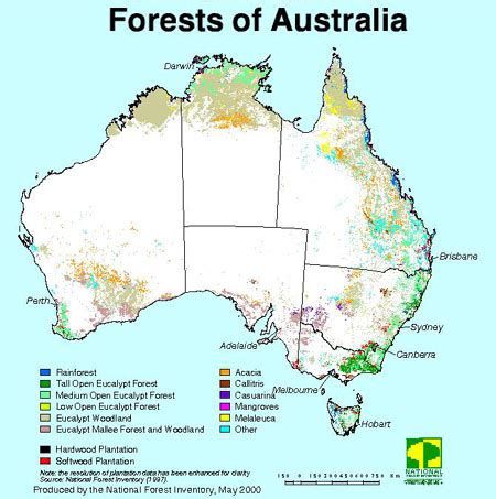 Maps - rainforests