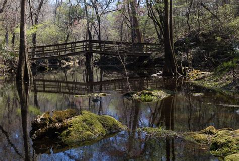 Relax, Hike, Camp-and Enjoy Florida's Suwannee River State Park - Visit Natural North Florida