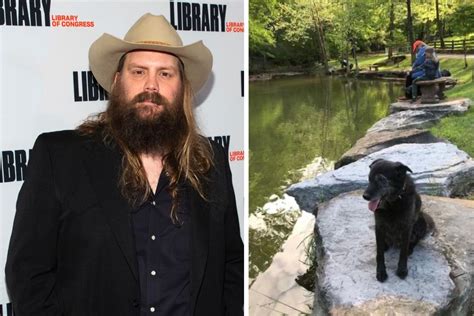 Chris Stapleton Performed Heartbreaking Tribute to Family Dog, 'Maggie's Song,' With Miranda ...