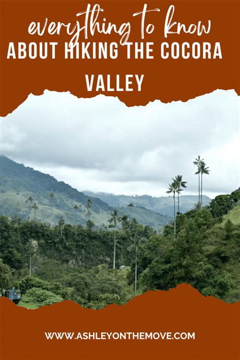 Everything You Need to Know About Hiking the Cocora Valley