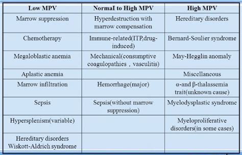 MPV Blood Test- Definition, Calculation, Results, High And, 54% OFF