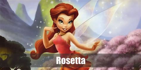 Rosetta (Tinker Bell) Costume for Halloween