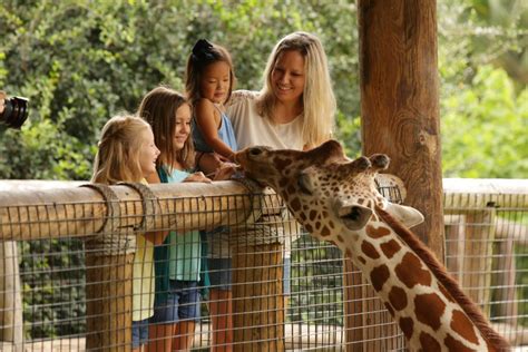 Visit the Jacksonville Zoo and Gardens | Check-It-Off Travel | Custom Travel Planning