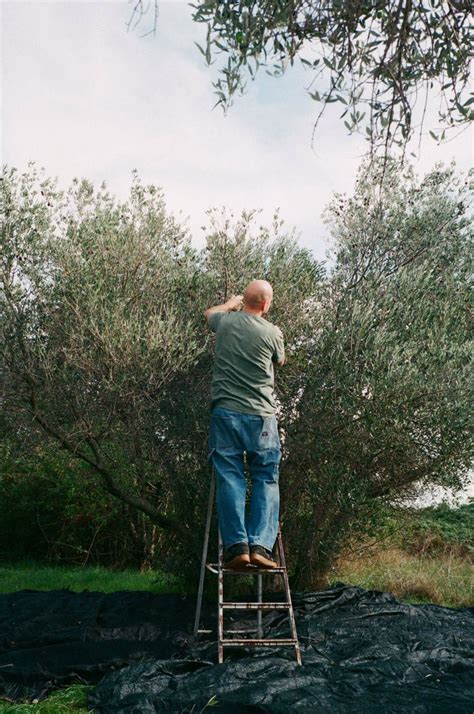 Stop! Harvest time. | Escapian