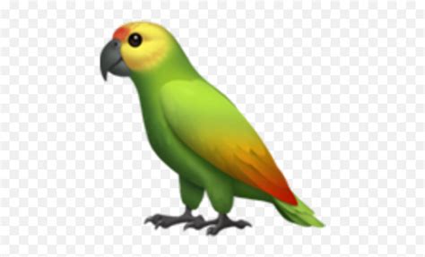 Popular And Trending Parrot Stickers - Parrot Emoji,Parrot Emoji - free transparent emoji ...