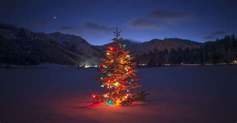 Christmas Tree Evening Capturing in South Lake Tahoe [1280 × 720] : wallpaper | Merry christmas ...