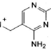 Chemical Structure of Thiamine hydrochloride (1,2). | Download ...