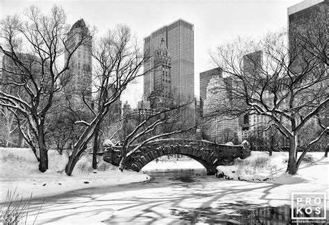 Gapstow Bridge and Pond in Winter, Central Park - Black & White Photo ...