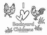 Free Printable Coloring Pages Of Chickens sketch template
