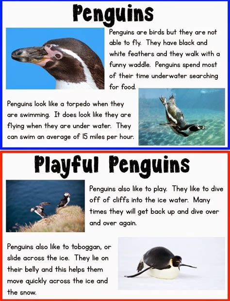 Kid-Friendly Penguin Research | Penguins, Penguin research, Penguins kindergarten