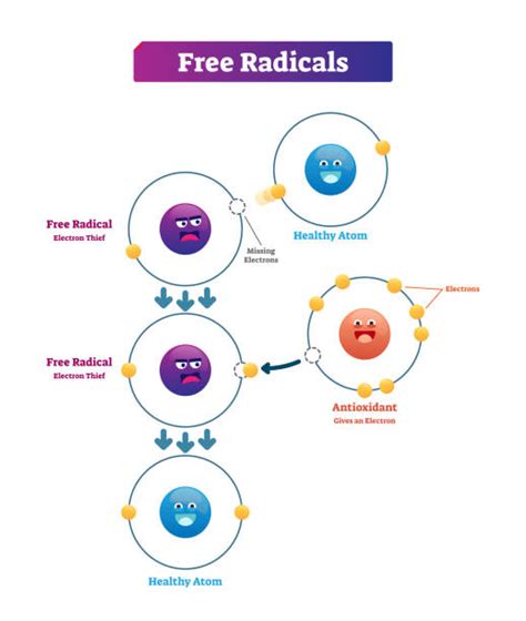 Royalty Free Free Radicals Clip Art, Vector Images & Illustrations - iStock