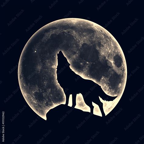 Howling wolf, full moon Stock Illustration | Adobe Stock