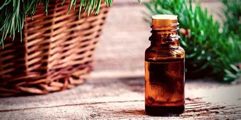 The Surprising Benefits About Pine Oil