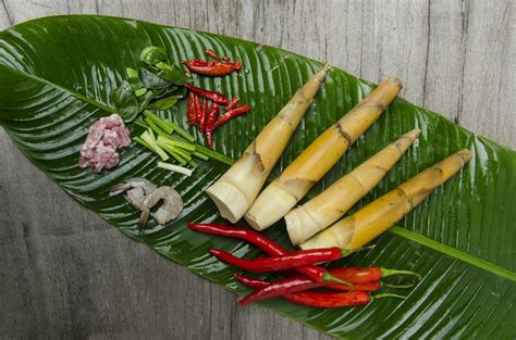 Interesting Facts and How to Cook Bamboo Shoots - Taste Insight