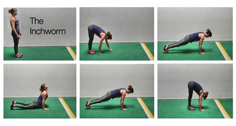 Crawling Workouts in 2017 Will Have You On Your Hands And Knees